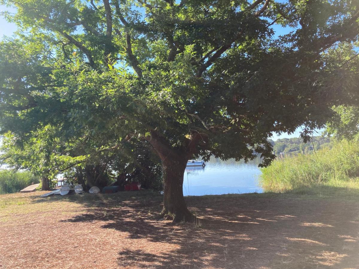 Les Ptits Nids Du Lac Lacanau Exteriör bild